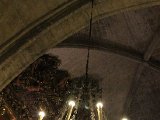 IMG_3526.JPG
