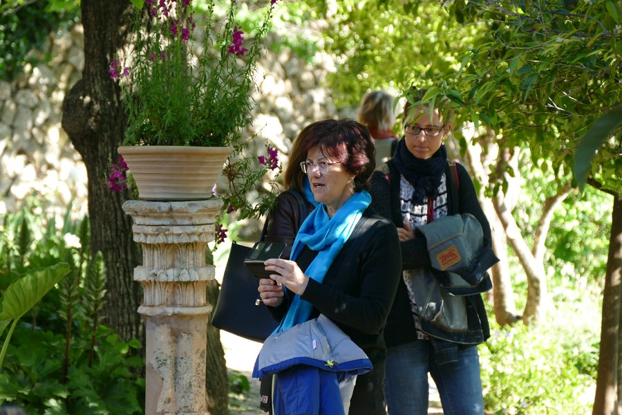 P1050939