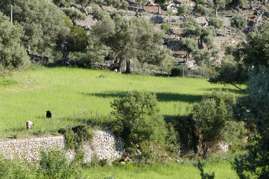 P1060024