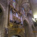 IMG_2781